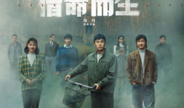 最近播放的电视剧,穿越时空的浪漫传奇，探寻古代爱情密码