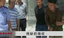 河南大案纪实电视剧,惊心动魄的正义之战